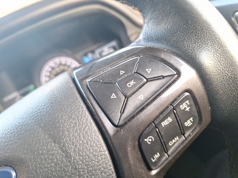 Ford Ranger Pickup 2.0 Ecoblue Wildtrak 4Wd Euro 6 Ss Black #13