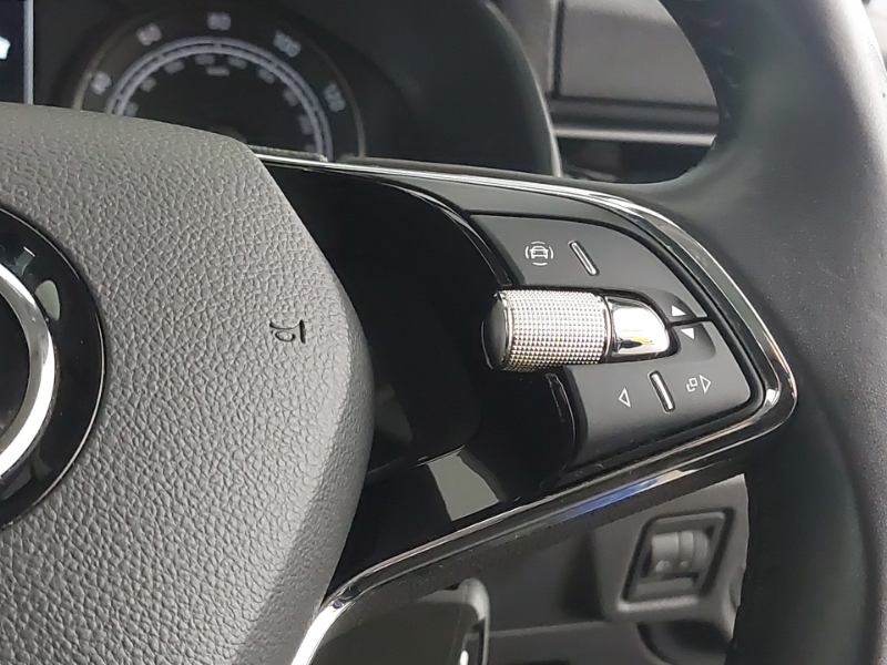 Skoda Kamiq Se L Executive Silver #13