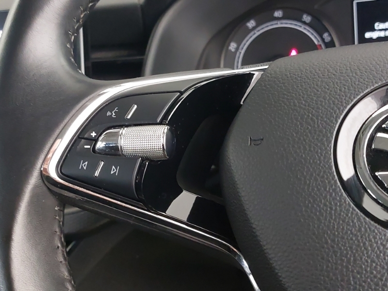 Skoda Kamiq Se L Executive Silver #12