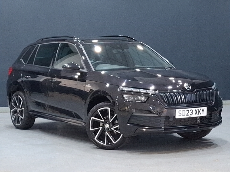 Skoda Kamiq Se Blue #7