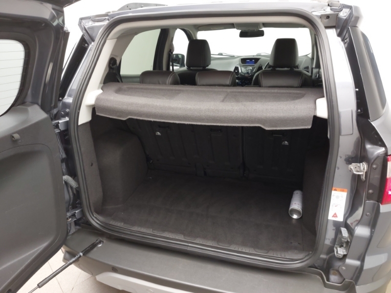 Ford Ecosport Titanium Grey #18