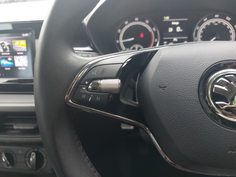 Skoda Fabia Hatchback 1.0 Tsi 110 Se L Grey #12
