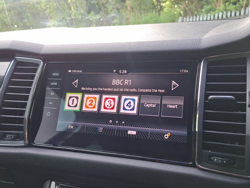 Skoda Kodiaq Se Grey #11