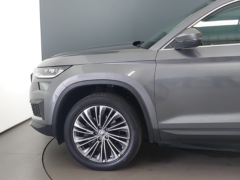 Skoda Kodiaq Se L Executive Blue #19