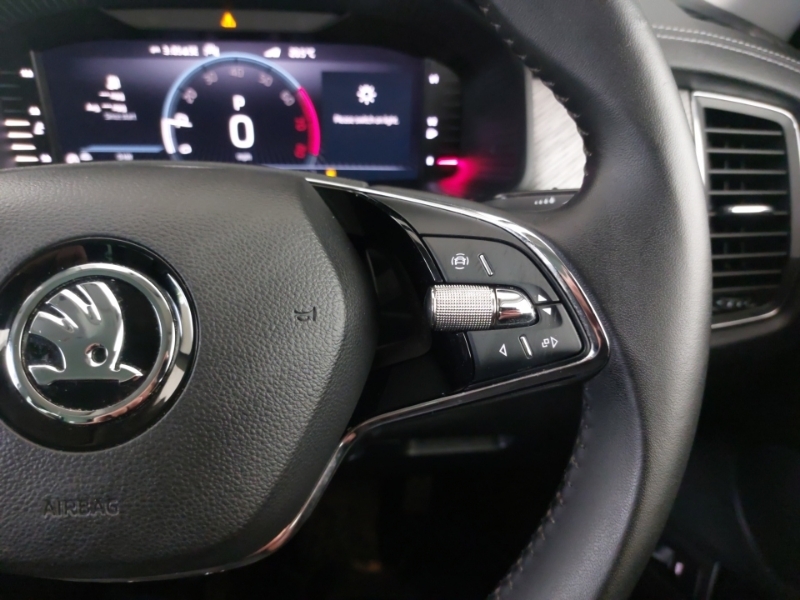 Skoda Kodiaq Se L Executive Blue #13