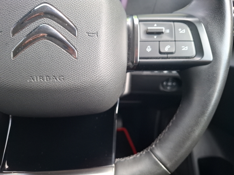Citroen C4 1.2 Puretech Shine Plus Eat8 Euro 6 Ss Brown #13