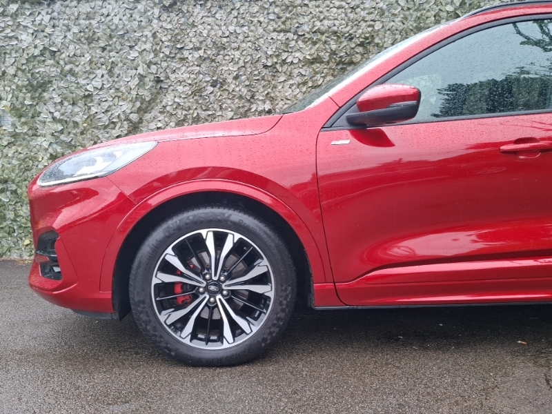 Ford Kuga 2.5 Phev St-line X Cvt- With Panoramic Glass R Blue #19