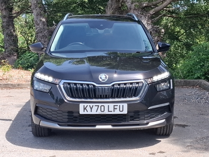 Skoda Kamiq Grey #14