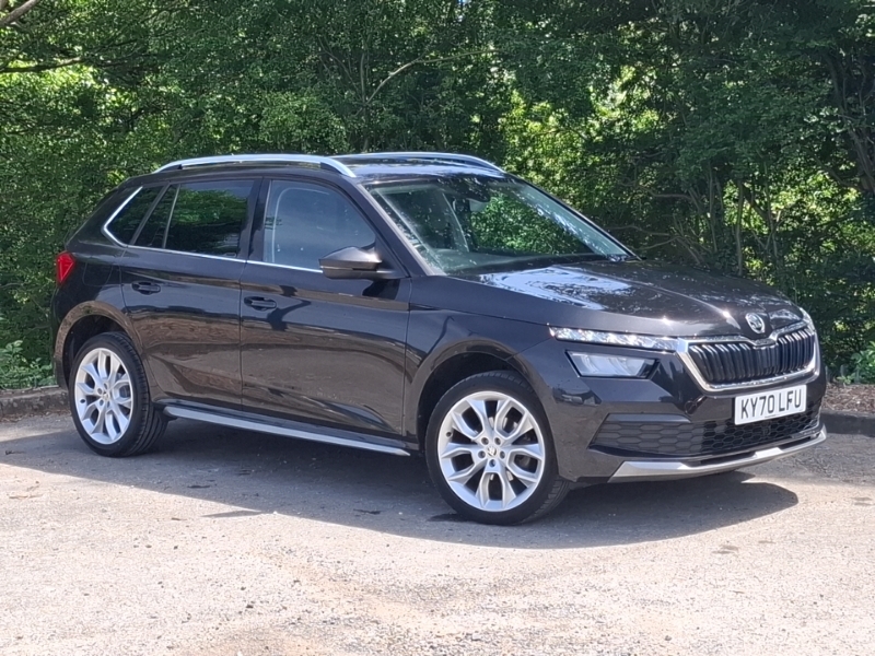 Skoda Kamiq Grey #7