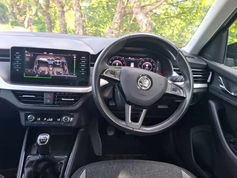 Skoda Kamiq Grey #8