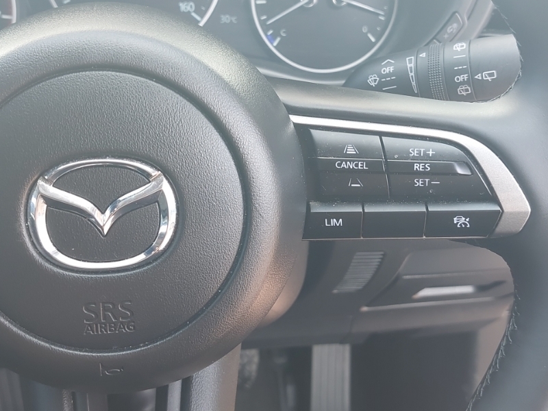 Mazda CX-30 2.0 E-skyactiv X Mhev Takumi Euro 6 Ss Red #12