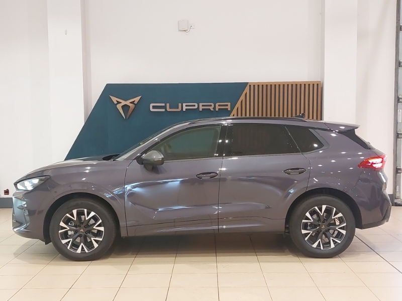 Cupra Terramar 1.5 Etsi 150 V1 Dsg Purple #4