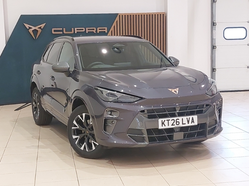 Cupra Terramar 1.5 Etsi 150 V1 Dsg Purple