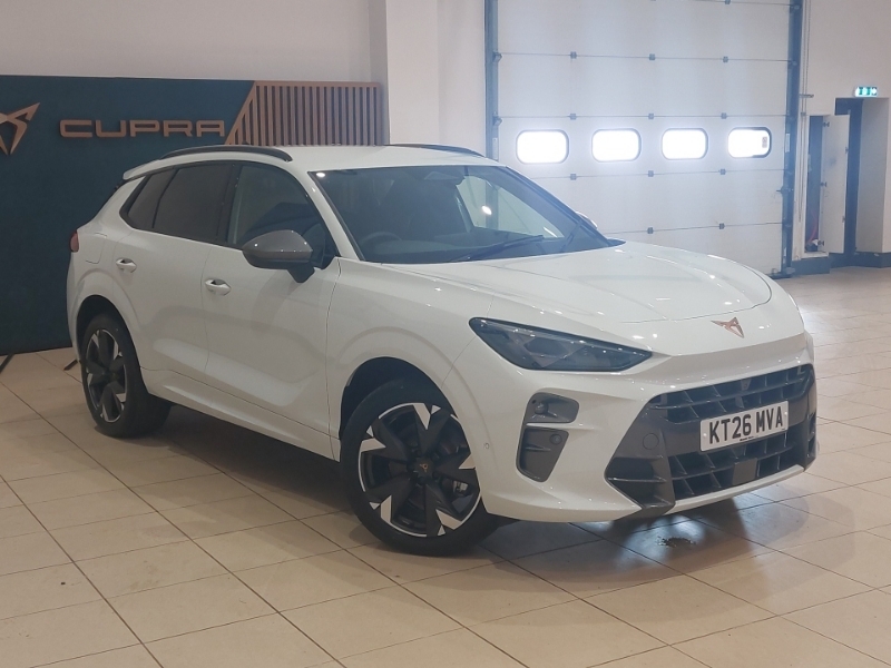 Cupra Terramar 1.5 Etsi 150 V2 Dsg Blue #7