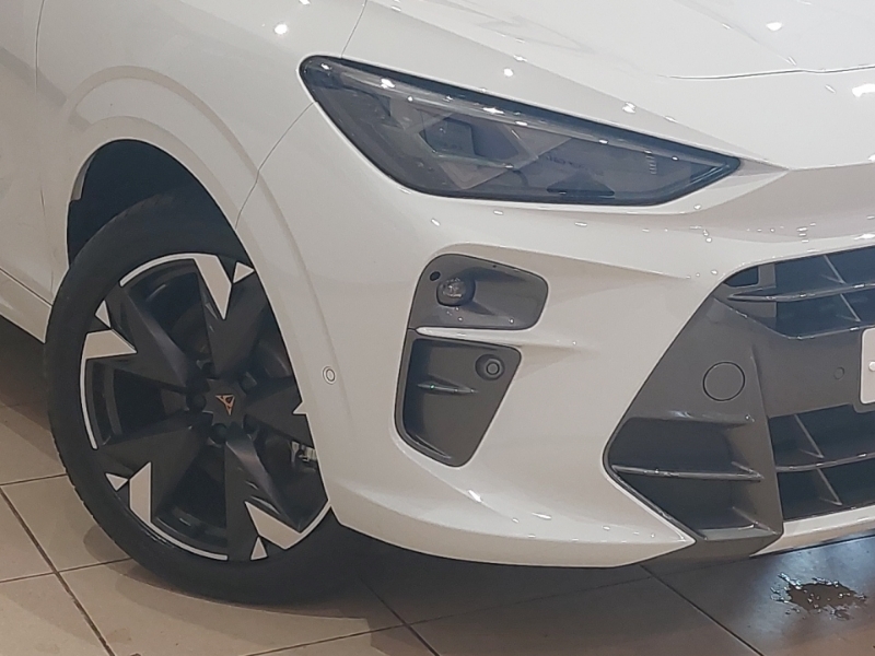 Cupra Terramar 1.5 Etsi 150 V2 Dsg Blue #20