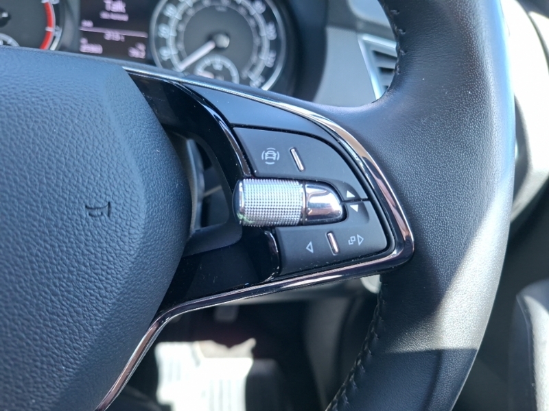 Skoda Fabia Hatchback Grey #13