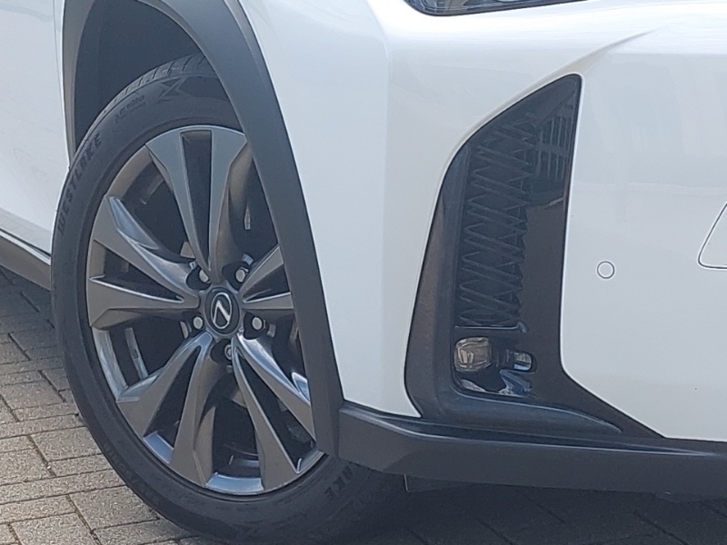 Lexus UX 300E  #20