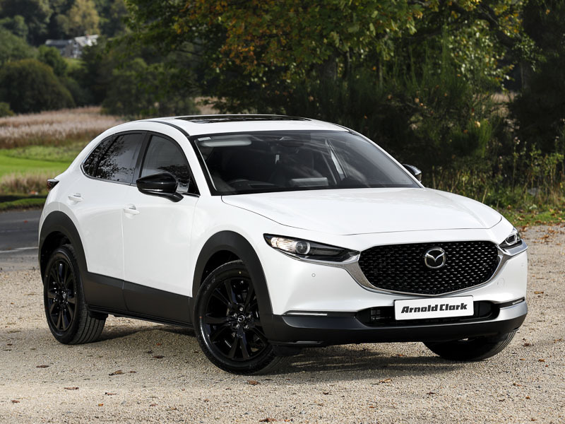 Mazda CX-30 2.5 E-skyactiv G Mhev 140 Homura White