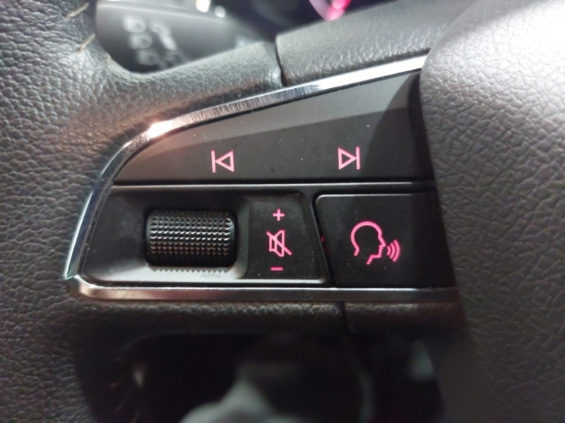 Seat Ibiza Se Technology Grey #12