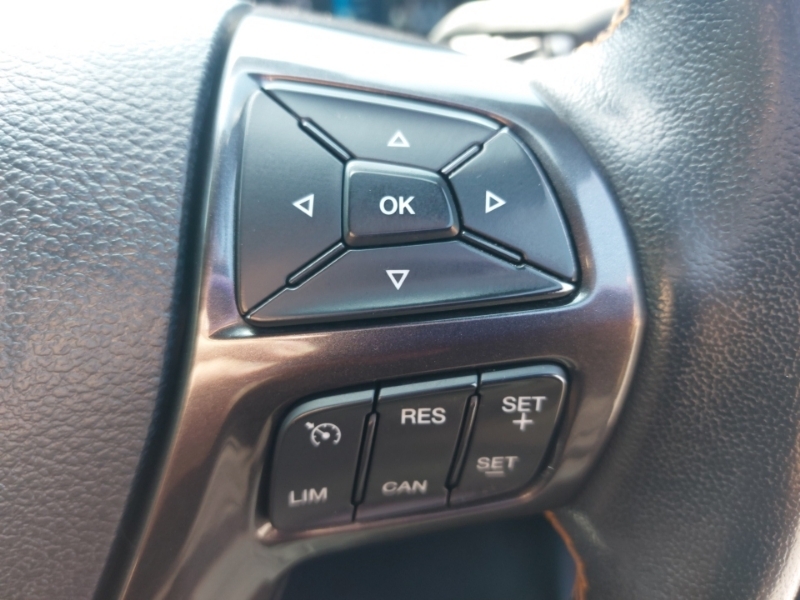 Ford Ranger 2.0 Ecoblue Thunder 4Wd Euro 6 Ss Grey #13