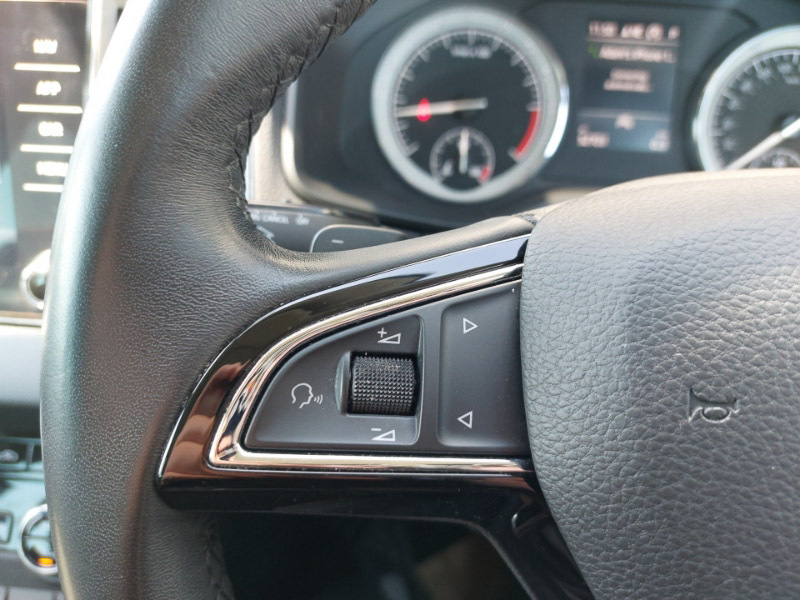 Skoda Karoq Suv Blue #13