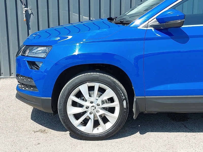 Skoda Karoq Suv Blue #19