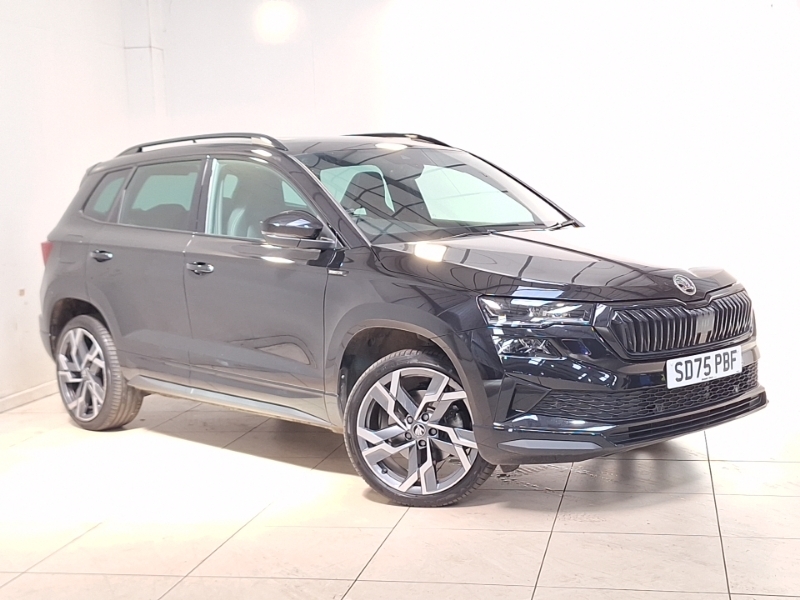Skoda Karoq Se Edition Grey #7