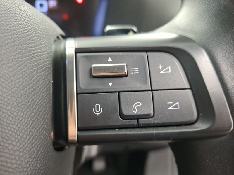 Citroen C4 1.2 Puretech Shine Plus Eat8 Euro 6 Ss Black #13