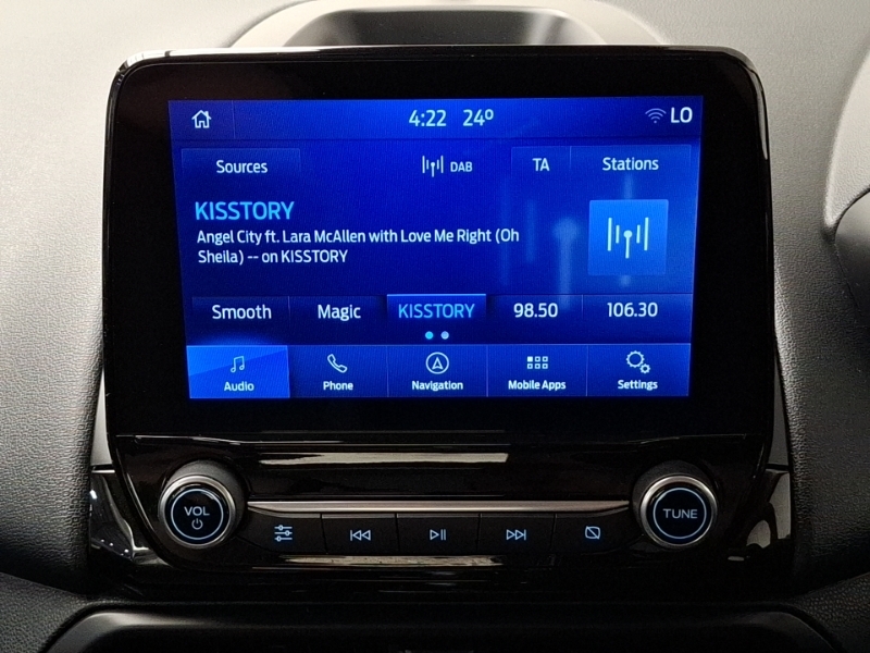 Ford Ecosport 1.0 Ecoboost 125 Titanium Grey #11