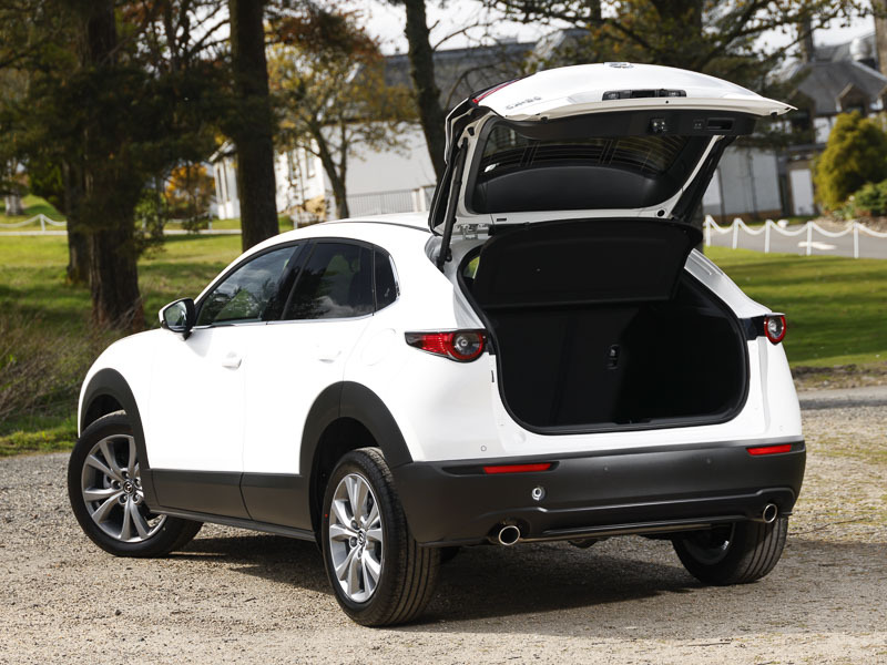Mazda CX-30 2.5 E-skyactiv G Mhev Homura Suv Red #18