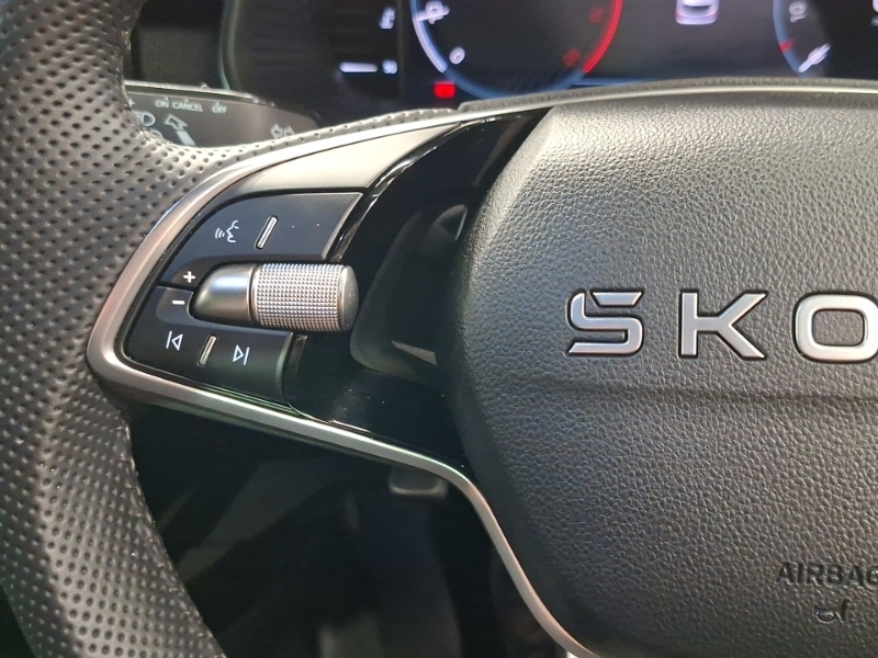 Skoda Kamiq Se L Edition Grey #12