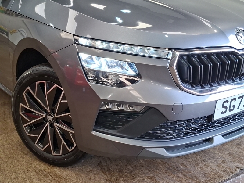 Skoda Kamiq Se L Edition Grey #20