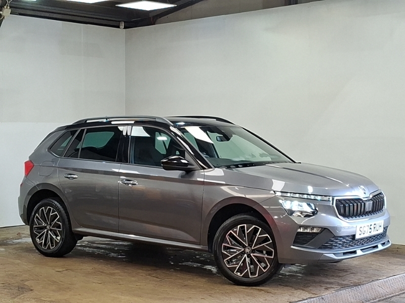 Skoda Kamiq Se L Edition Grey #7