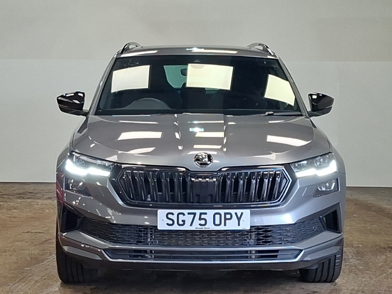 Skoda Karoq 1.5 Tsi Se Drive Grey #14