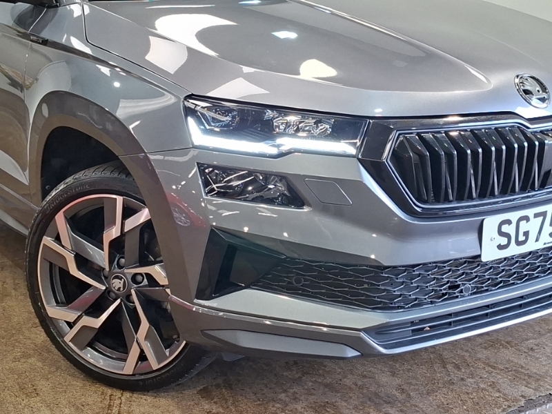 Skoda Karoq 1.5 Tsi Se Drive Grey #20