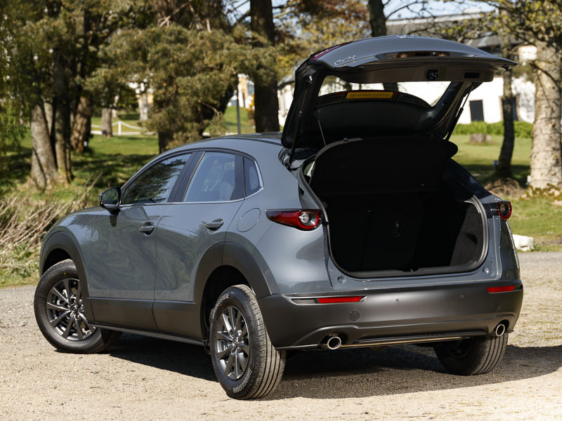 Mazda CX-30 2.5 E-skyactiv G Mhev Homura Euro 6 Ss  #19