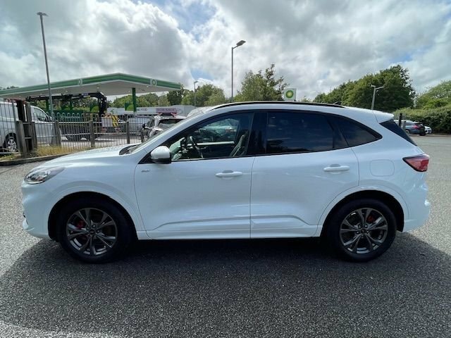 Ford Kuga 1.5L St-line Edition CV72XFA White #3
