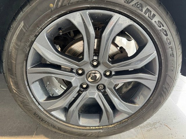 SsangYong Rexton Ultimate Brown #15