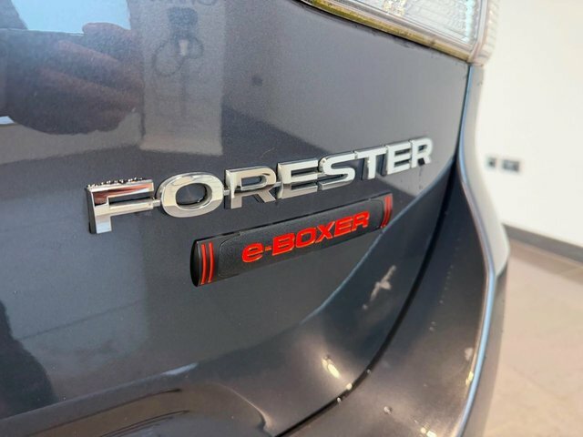 Subaru Forester I E-boxer Sport Suv Grey #5
