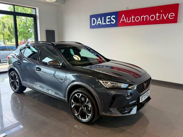 Cupra Formentor Tsi V2 Suv Grey #6