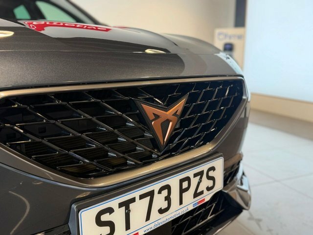 Cupra Formentor Tsi V2 Suv Grey #4