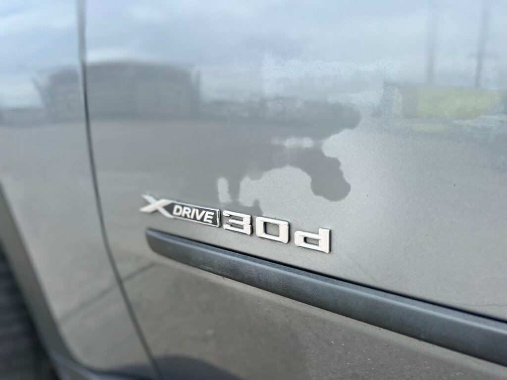 BMW X5 X5 Xdrive30d Se Grey #18