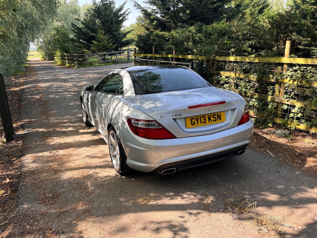 Mercedes-Benz SLK  Brown #17