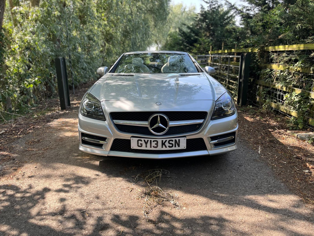 Mercedes-Benz SLK  Brown #10