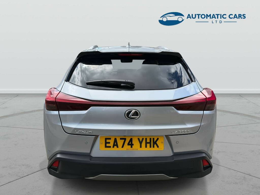 Lexus UX 300E Takumi Silver #6