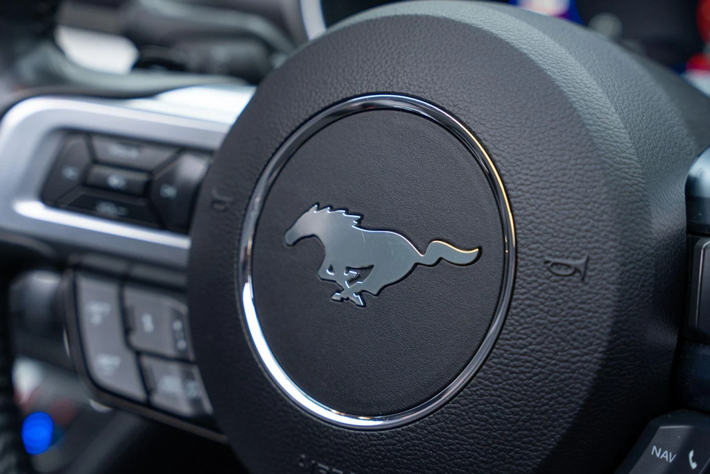 Ford Mustang Mach 1 5.0 V8  #28