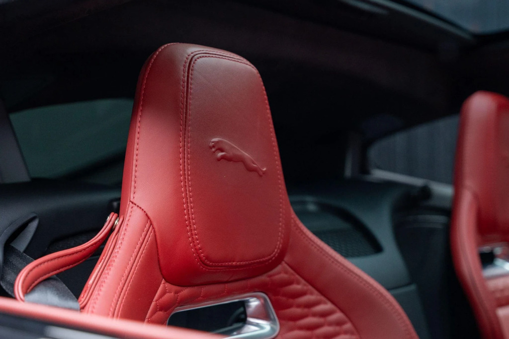 Jaguar F-Type P450 R-dynamic  #16