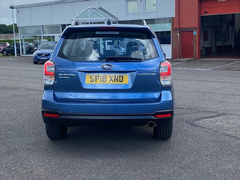 Subaru Forester I Xe Premium Blue #6