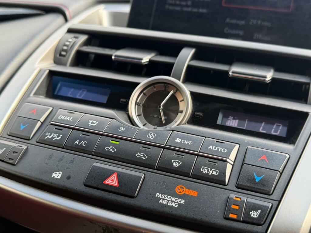 Lexus NX F Sport Grey #25