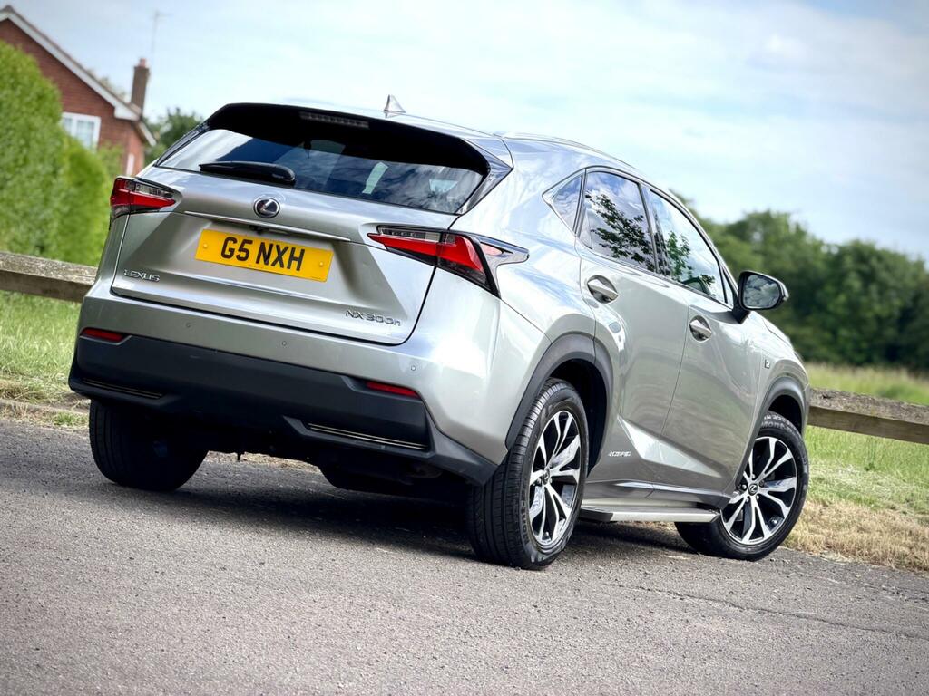 Lexus NX F Sport Grey #7